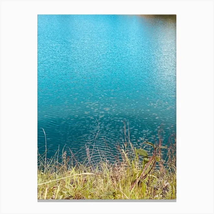 85de61f4 D147 4904 9260 1800d2bd40b9 Canvas PrintWD by William Døngart