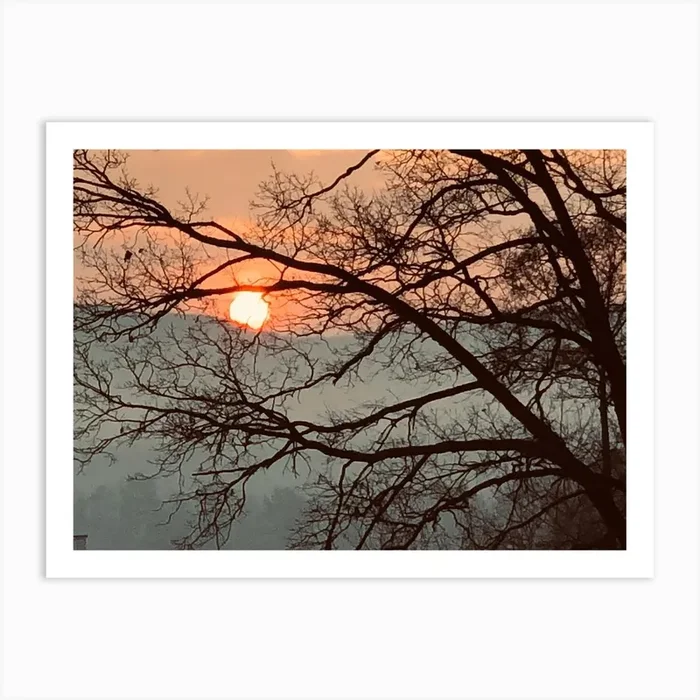 9afbfeba 9031 4054 A1a6 1c3394b133ec Art Print by Byoko