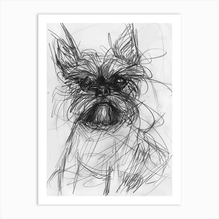 Affenpinscher Dog Charcoal Line Art Print by Woof and Whiskers