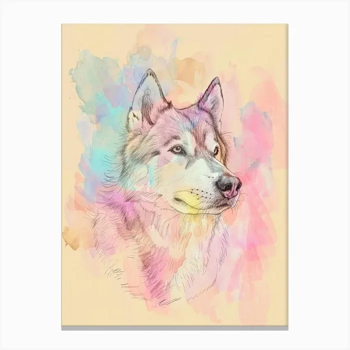Alaskan Malamute Pastel Line Watercolour Illustration 4 Canvas Print by Woof and Whiskers