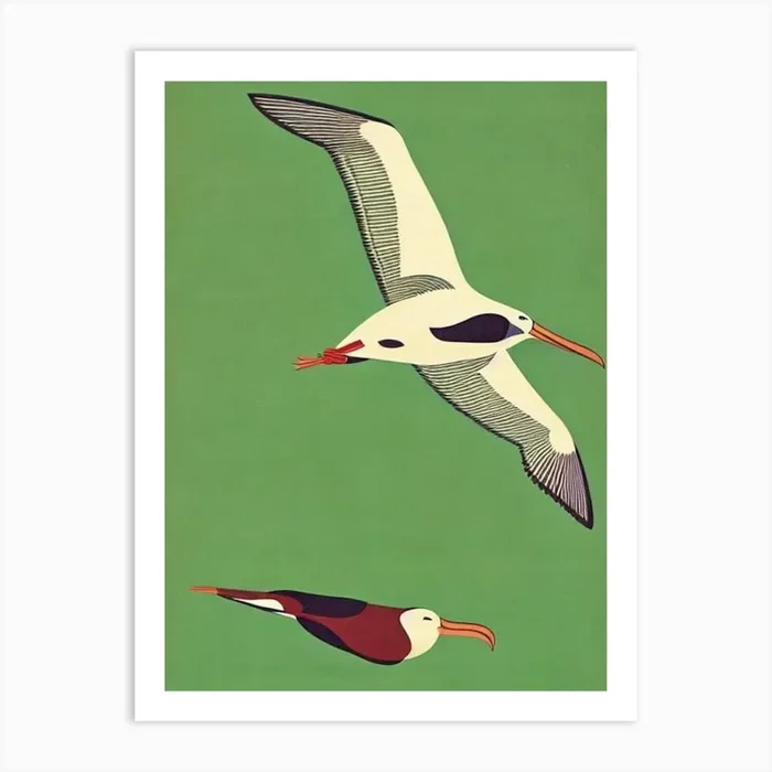 Albatross Midcentury Illustration Bird Art Print by Featherline