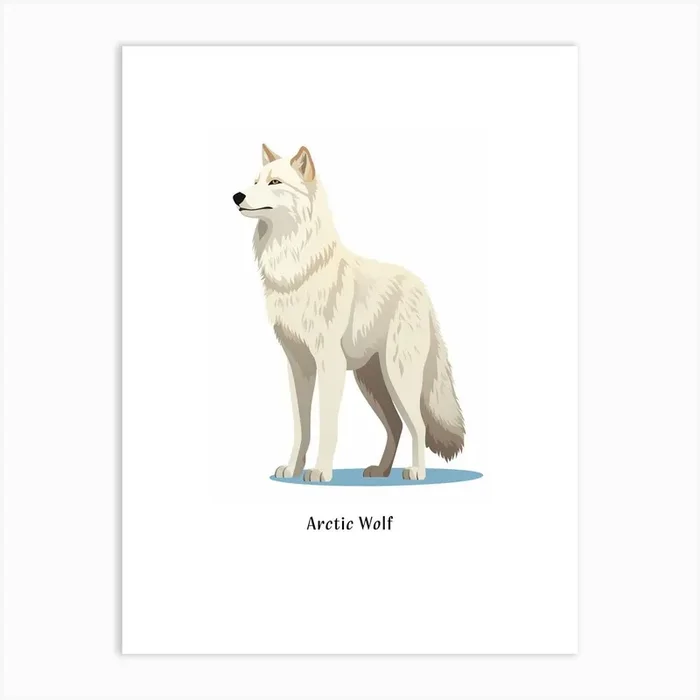 Arctic Wolf Kids Animal Poster Art Print by Scribble Studio