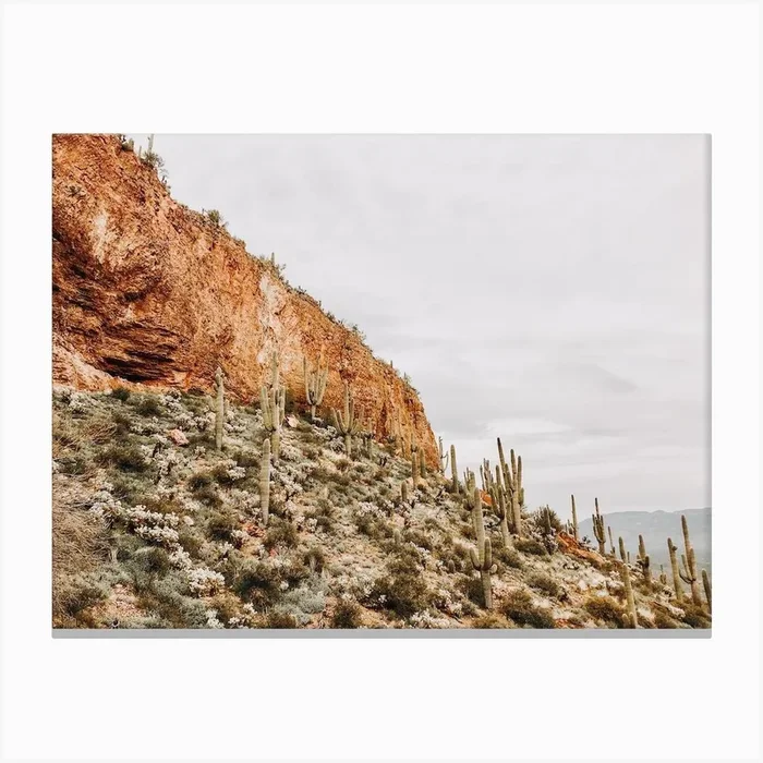 Arizona Desert Cactus Canvas Print by Indio Page
