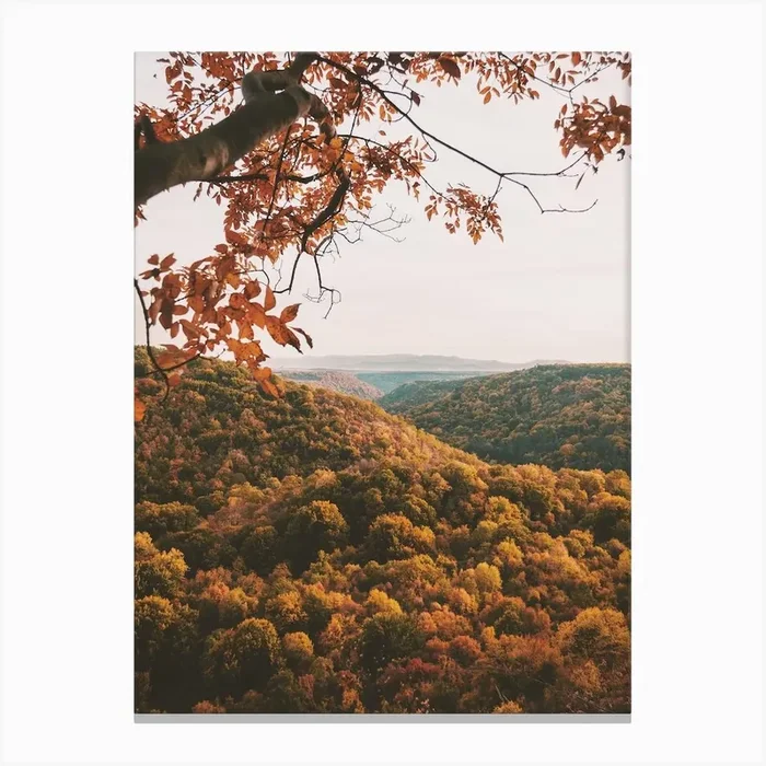 Autumn Forest Scenery Canvas PrintIP by Inkish Prints