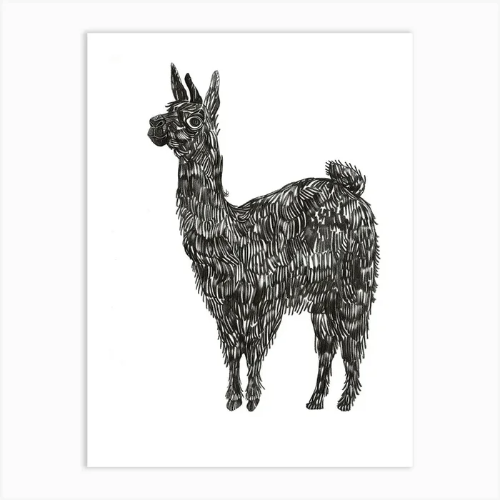 B&W Llama Art Print by Scribble Studio