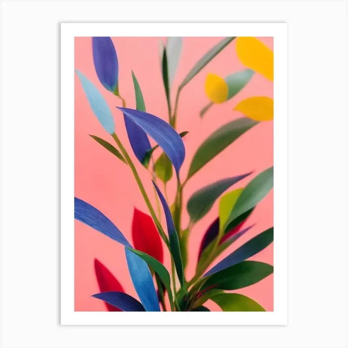 Baby Rubber Plant Colourful Illustration Art Print by Bloom & Botany Co