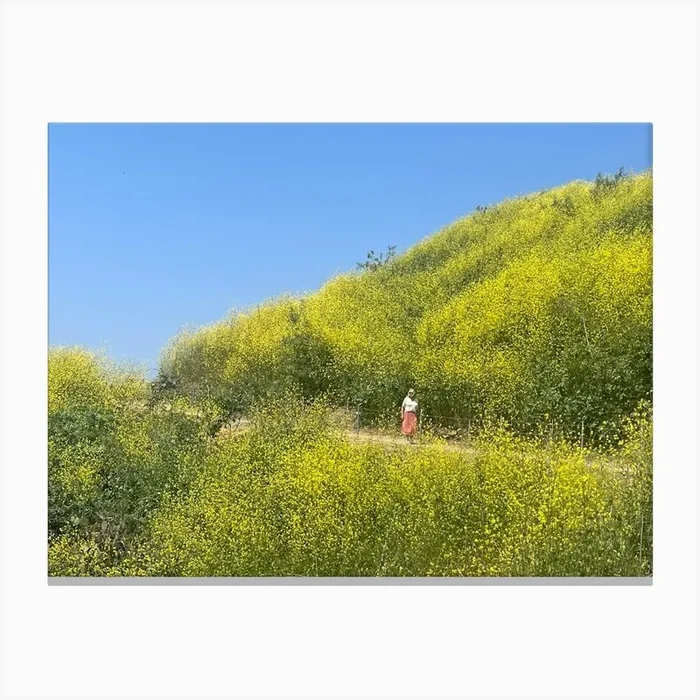 Baldwin Hills Canvas Print by CaliMerry