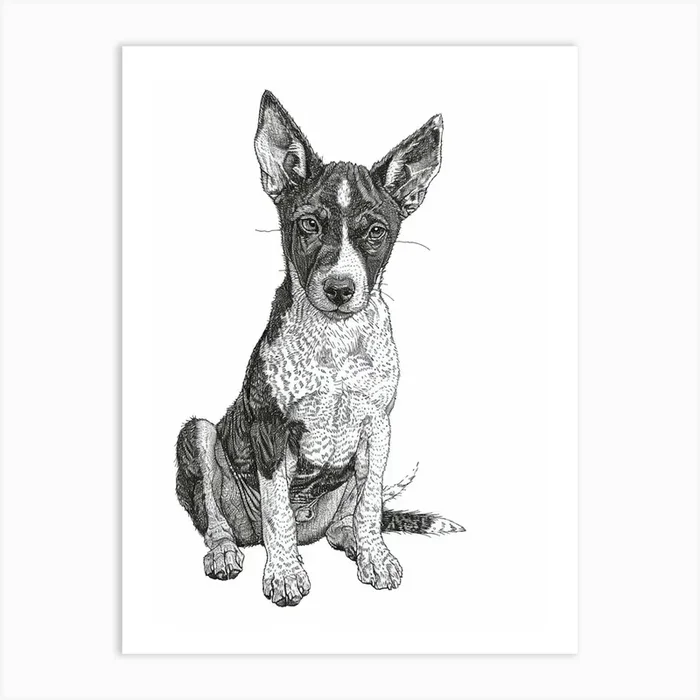 Basenji Dog Line Sketch 2 Art Print by Woof and Whiskers