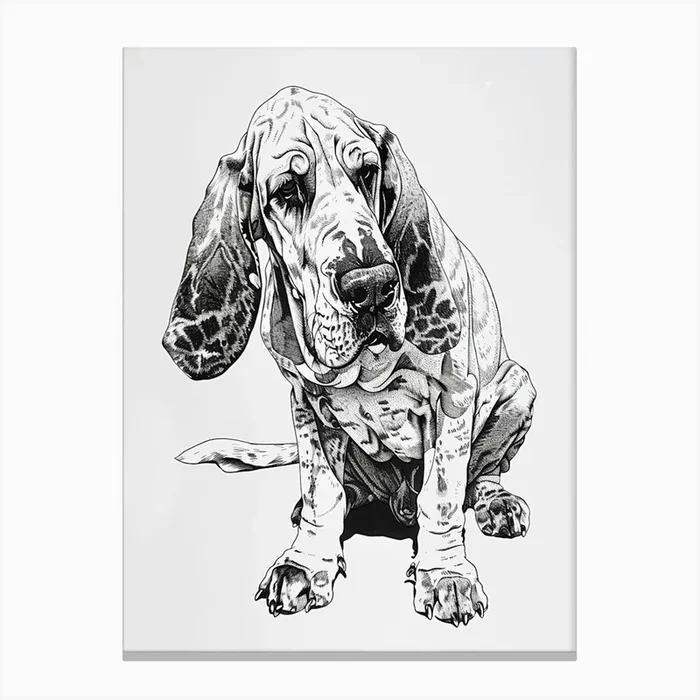 Basset Hound Dog Line Sketch Canvas Print by Woof and Whiskers