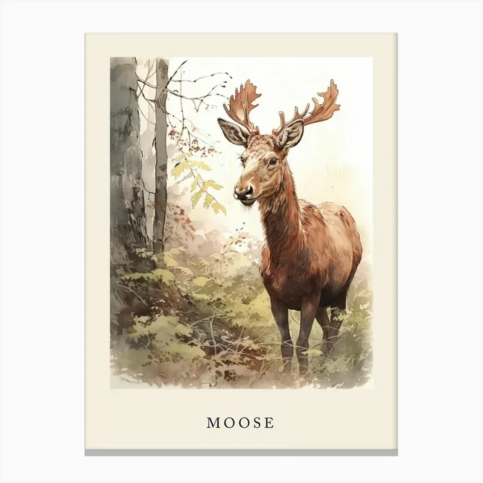 Beatrix Potter Inspired Animal Watercolour Moose 1 Canvas Print by Scribble Studio