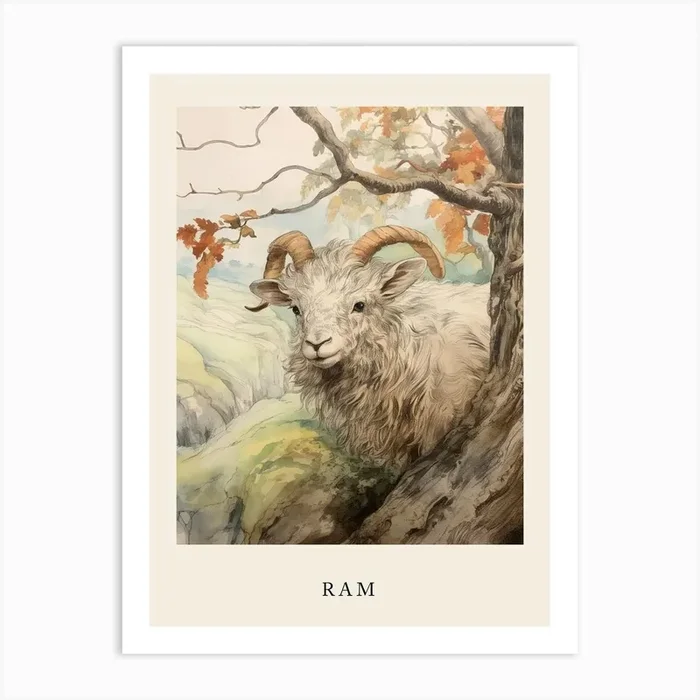 Beatrix Potter Inspired Animal Watercolour Ram 1 Art Print by Scribble Studio