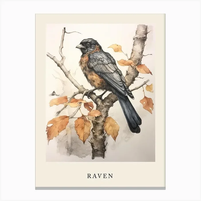 Beatrix Potter Inspired Animal Watercolour Raven 1 Canvas Print by Scribble Studio