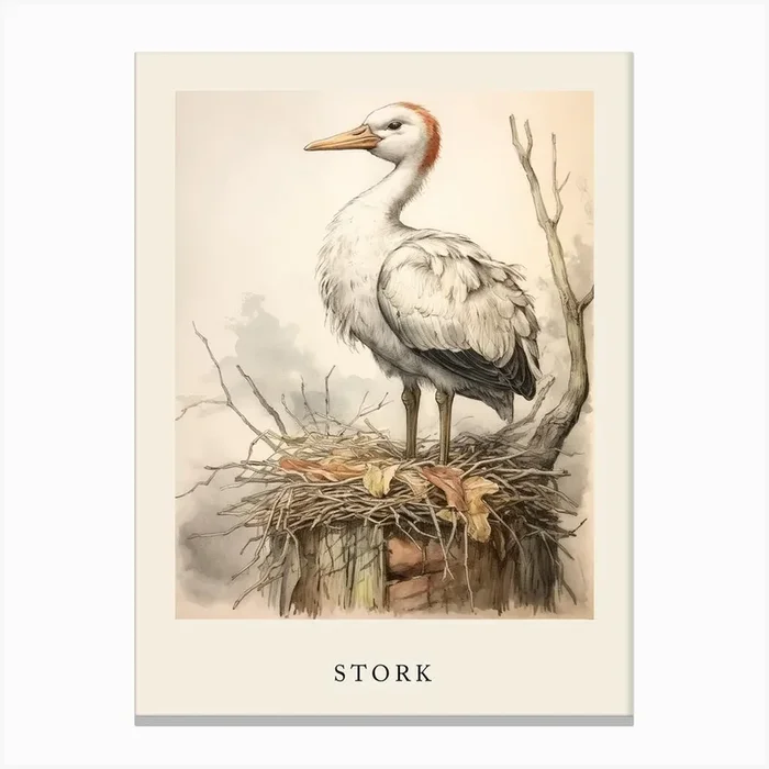 Beatrix Potter Inspired Animal Watercolour Stork 3 Canvas Print by Scribble Studio