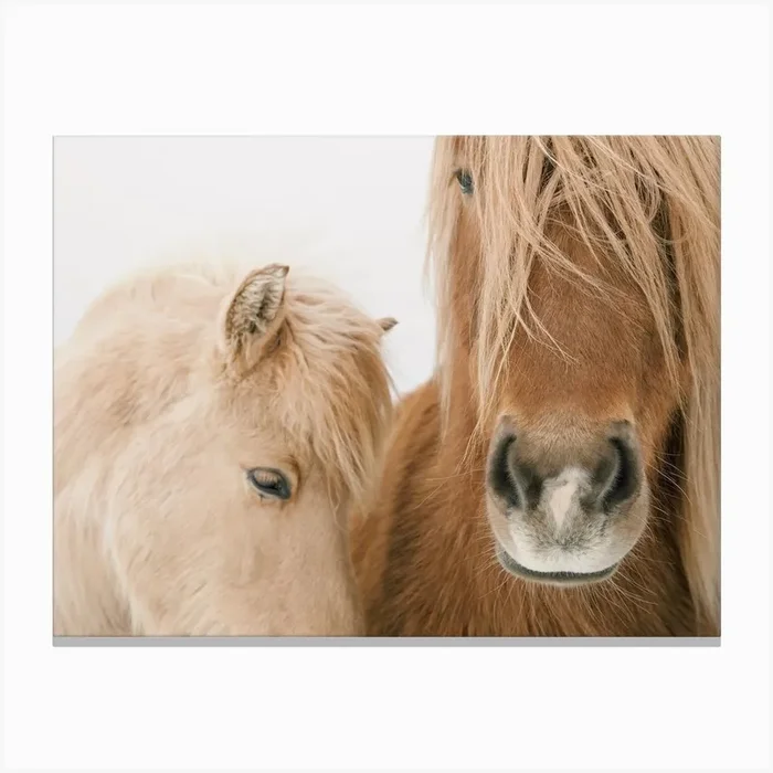 Beige Horses Canvas PrintIP by Inkish Prints