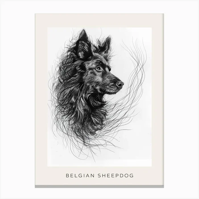 Belgian Sheepdog Line Sketch 2 Poster Canvas Print by Woof and Whiskers