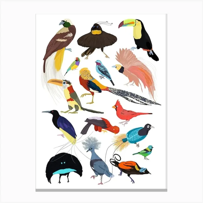 Birds Of Paradise Canvas Print by Hanna Melin