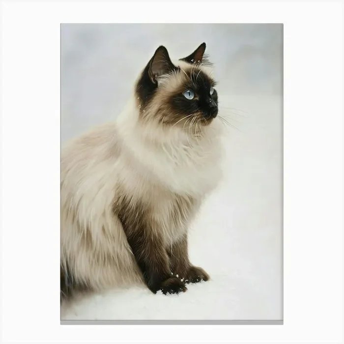 Birman Cat Painting 1 Canvas Print by Woof and Whiskers