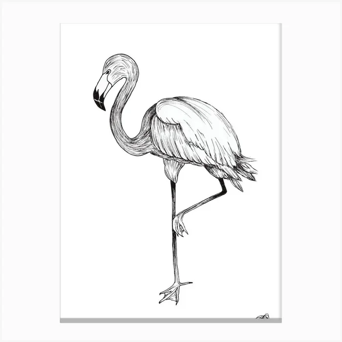 Black and White Flamingo Canvas Print by Jenna Caitlin Designs