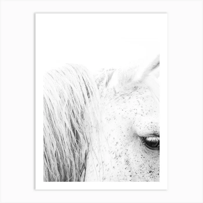 Black And White Horse Portrait Art Print by Victoria Frost