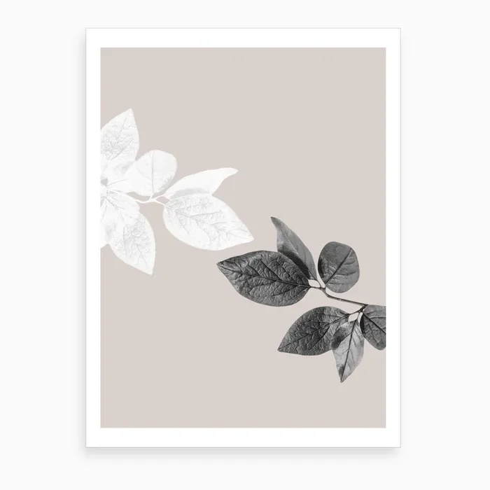 Black And White Leaves Art Print by Hecetu