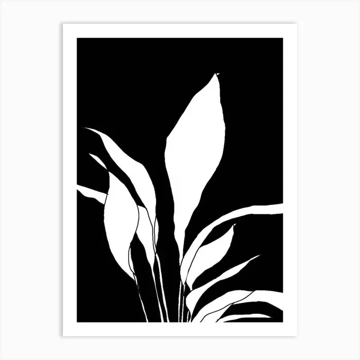 Black And White Plant Art Print by AniManoo