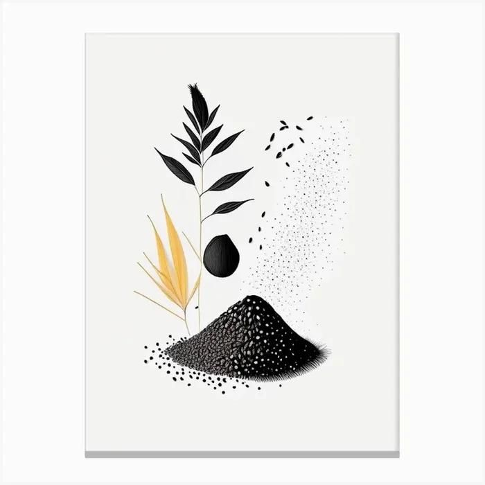 Black Sesame Spices And Herbs Minimal Line Drawing 1 Canvas PrintHH by Herbaceous Hues