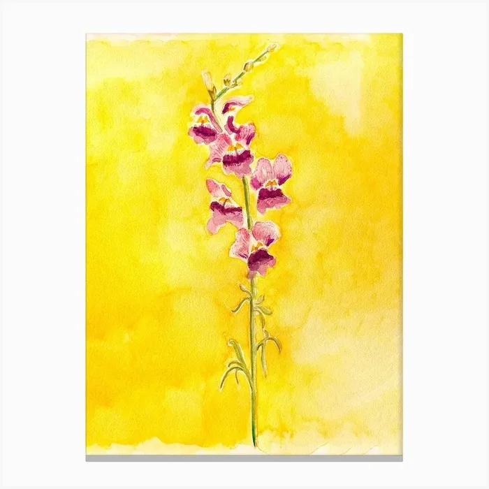Bleeding Hearts Flower Painting Canvas Print by Lisa Anderson