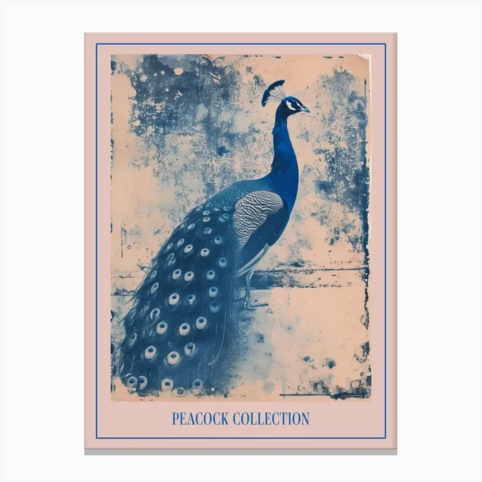 Blue & Sepia Cyanotype Inspired Peacock Poster Canvas Print by Featherline