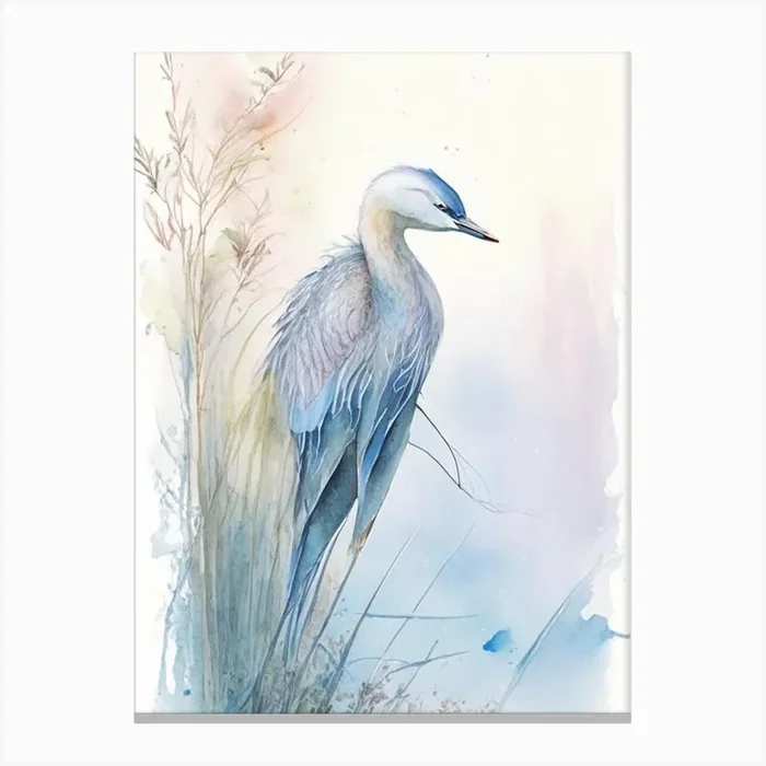 Blue Heron Aerial View Gouache 1 Canvas Print by Featherline