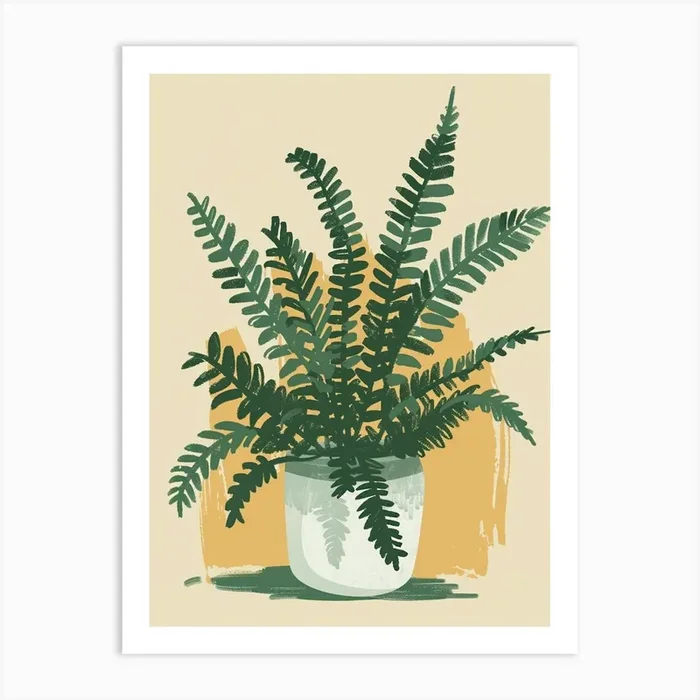 Boston Fern Plant Minimalist Illustration 8 Art Print by Petal Pigments