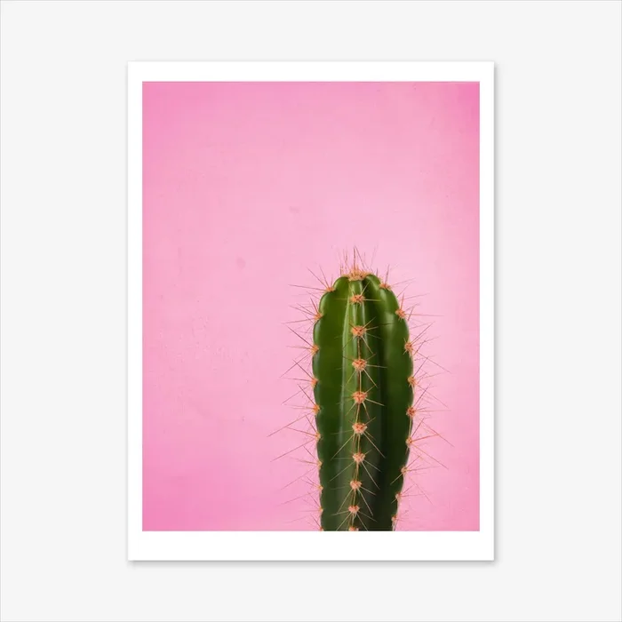 Cactus #3 Art Print by Honeymoon Hotel