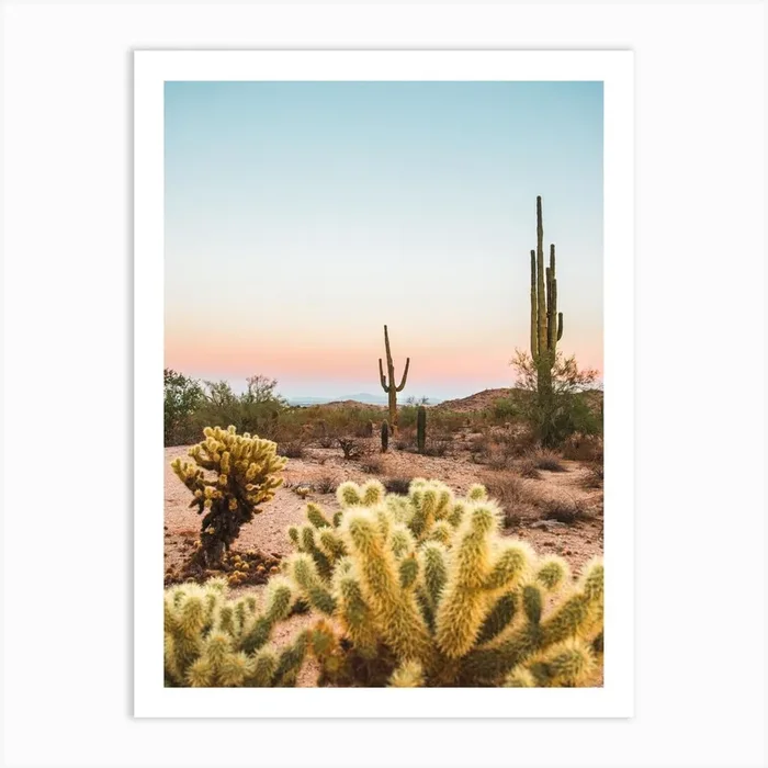 Cactus Desert Sunset Art Print by Erica Fuchs Photography