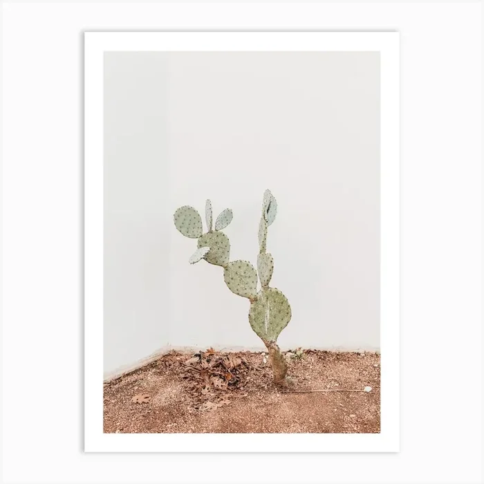 Cactus Plant Art Print by Indio Page