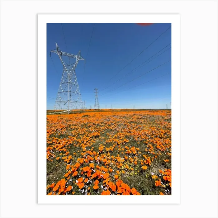 California puppy field Art Print by CaliMerry