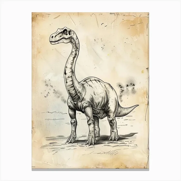 Camarasaurus Dinosaur Black Ink Illustration 2 Canvas Print by Dino Delights