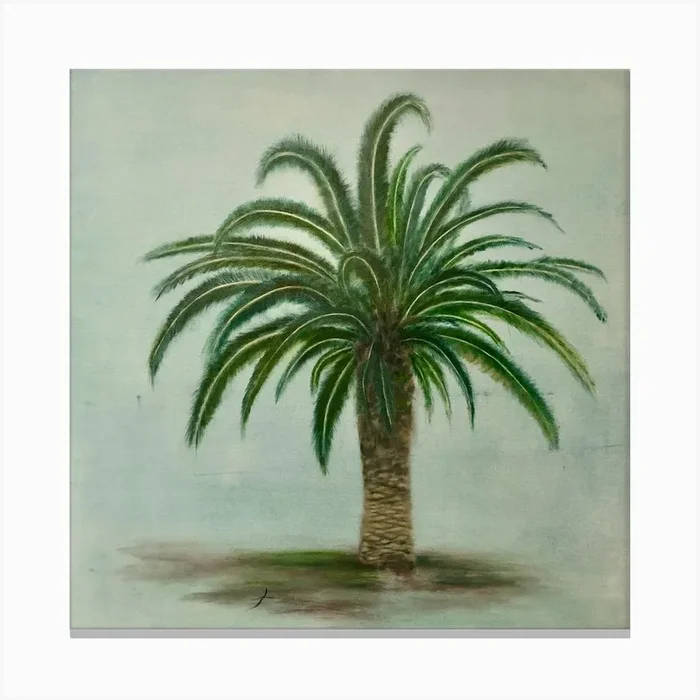 Canary Palm Canvas Print by Kim Painter