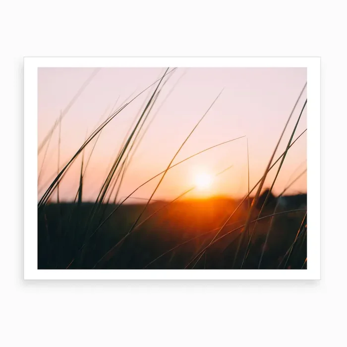 Cape Cod Meadow Art Print by Chelsea Victoria Photography