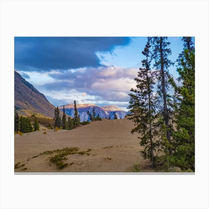 Carcross Desert Canvas Print by Ferro Studios