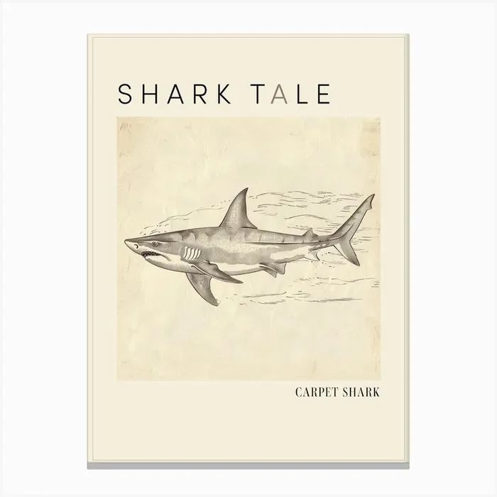 Carpet Shark Vintage Illustration 2 Poster Canvas Print by Energy of the Sea