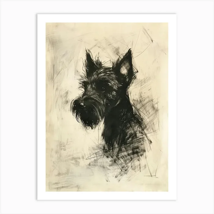 Cesky Terrier Dog Charcoal Line 1 Art Print by Woof and Whiskers