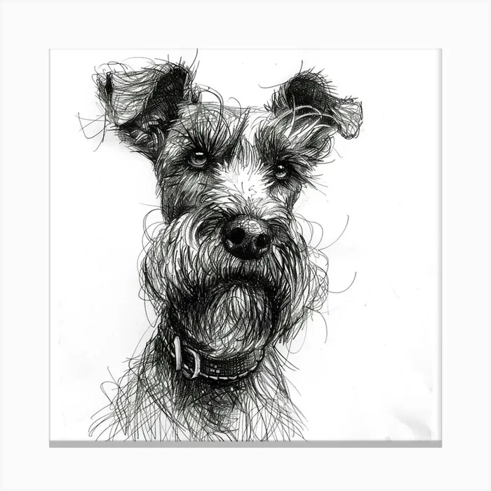 Cesky Terrier Dog Line Sketch 3 Canvas Print by Woof and Whiskers