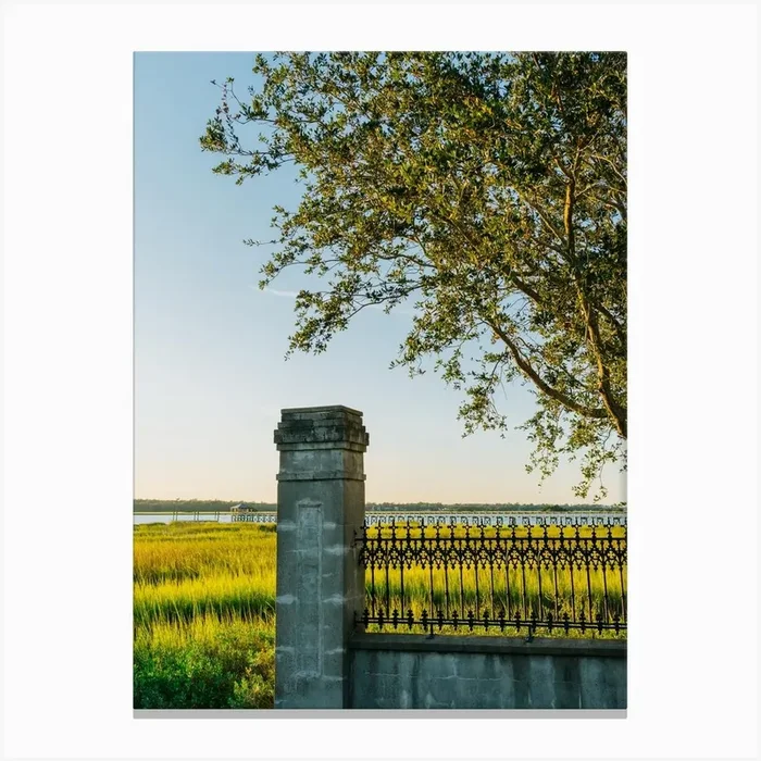 Charleston Lowndes Grove VI Canvas Print by Bethany Young