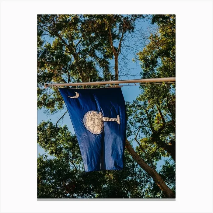 Charleston State Flag Canvas Print by Bethany Young