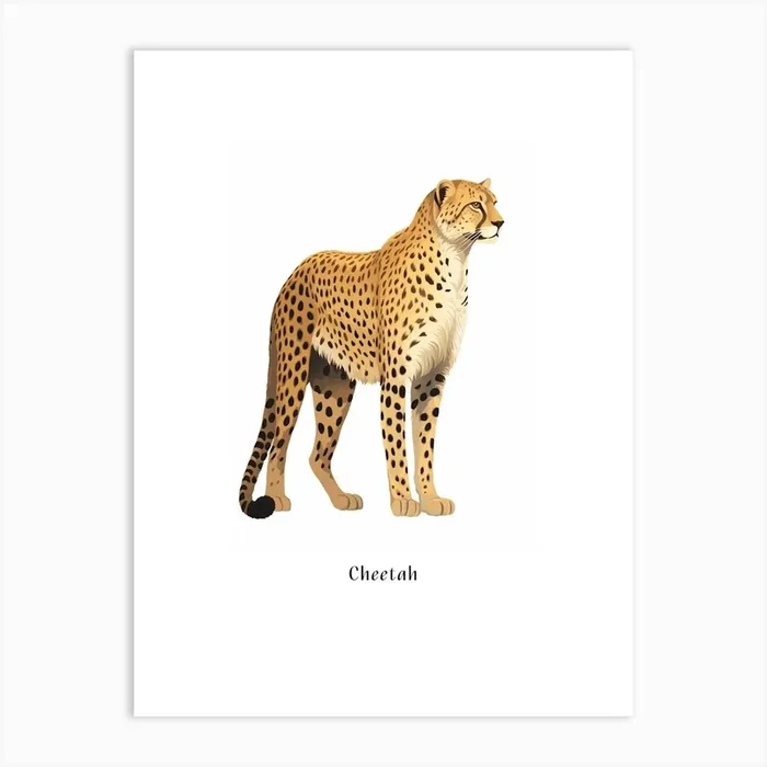 Cheetah Kids Animal Poster Art Print by Scribble Studio