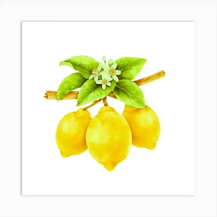 Citrus Freshness: Lemon Art Art Print by AyanaDesigns