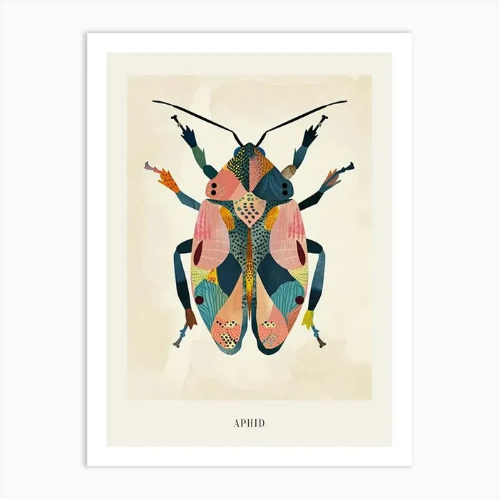 Colourful Insect Illustration Aphid 13 Poster Art Print by Ritual Art Prints
