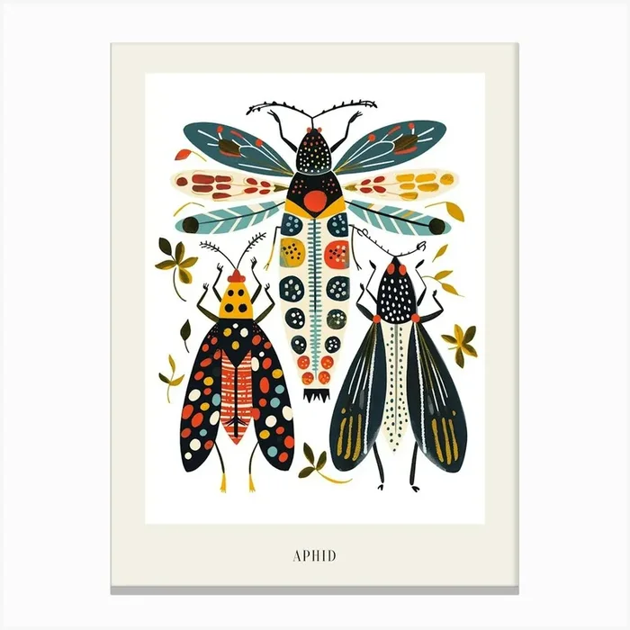 Colourful Insect Illustration Aphid 6 Poster Canvas Print by Ritual Art Prints