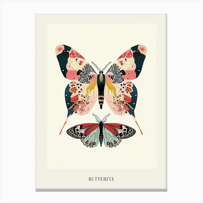 Colourful Insect Illustration Butterfly 26 Poster Canvas Print by Ritual Art Prints