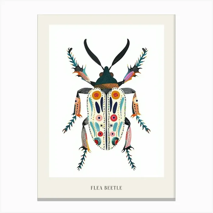 Colourful Insect Illustration Flea Beetle 13 Poster Canvas Print by Ritual Art Prints