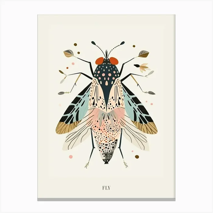 Colourful Insect Illustration Fly 14 Poster Canvas Print by Ritual Art Prints